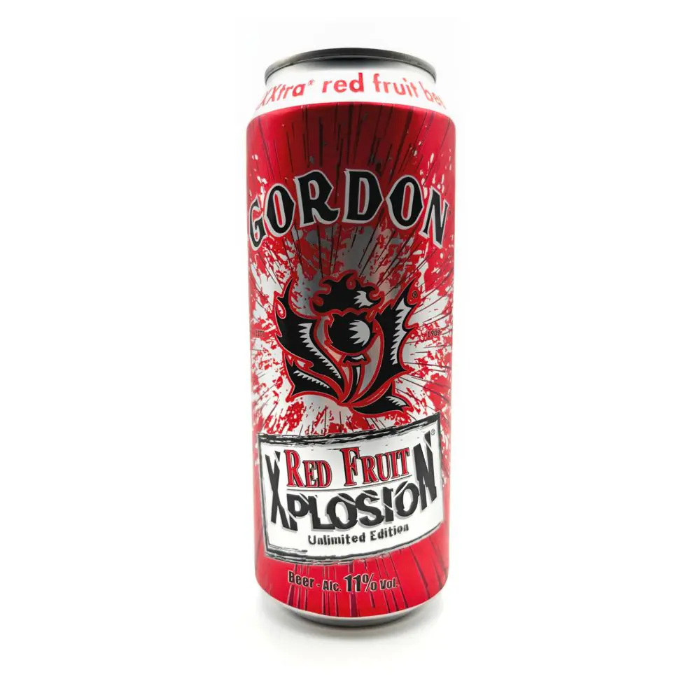 Gordon Xplosion Red Fruits Canettes 24x50cl | Drink Saint Martin à Seraing