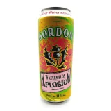 Gordon Xplosion Watermelon 11° 24x50cl en Canettes | Drink Saint Martin à Seraing