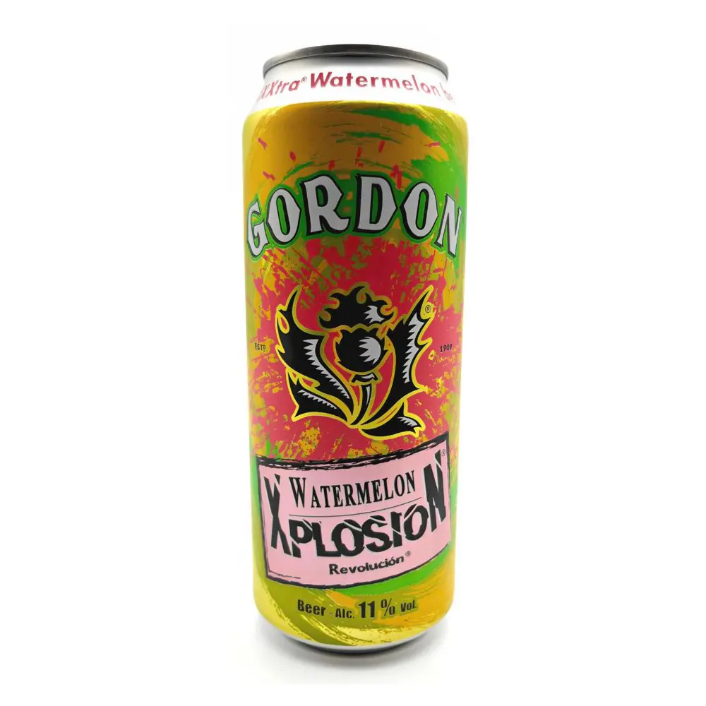Gordon Xplosion Watermelon 11° 24x50cl en Canettes | Drink Saint Martin à Seraing