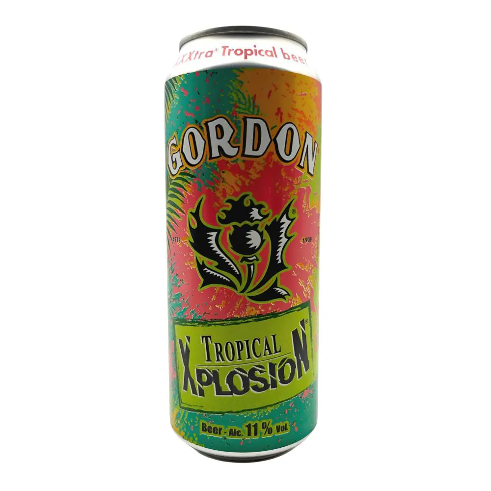 Gordon Xplosion Tropical 11° 24 x 50cl | Drink Saint Martin à Seraing